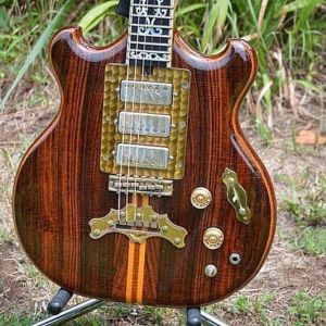 "007" Early Doug Irwin Rosewood Special-body