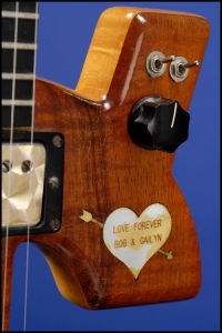 Dollar Sign Guitar - Detail