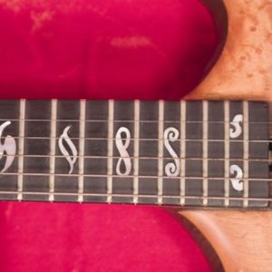 Eagle - The Guitar - Irwin Guitars #001 Neck Inlay