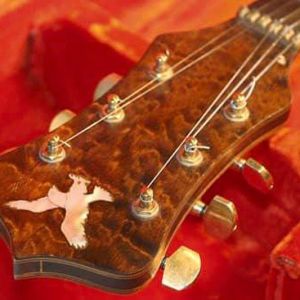 Eagle - The Guitar - Irwin Guitars #001 Head Stock