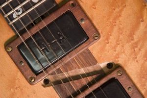 Eagle - The Guitar - Irwin Guitars #001 Pickups
