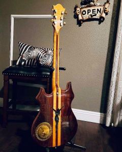 Irwin Guitars #024 - Back