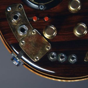 Tiger Guitar Electronics Detail - Photo: Herb Greene