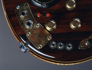 Tiger Guitar Electronics Detail - Photo: Herb Greene