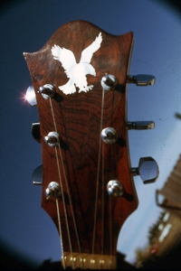 Lacewood Head Stock