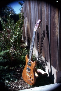 Lacewood Side View