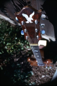 Lacewood Top View