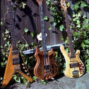 Phil Saam & Bass Collection