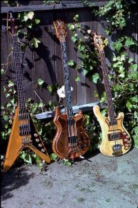 Phil Saam & Bass Collection