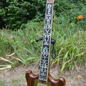 Rosewood Special - Neck