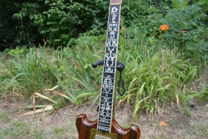 Rosewood Special - Neck