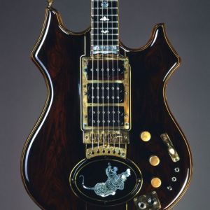 Tiger Guitar - Photo: Herb Greene