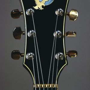 Tiger Guitar Head Stock with Eagle - Photo: Herb Greene