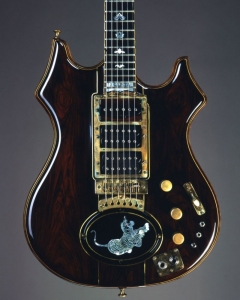 Tiger Guitar - Photo: Herb Greene