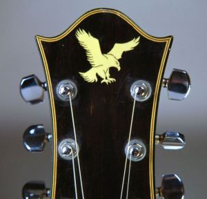 Wolf Guitar Head Stock with Eagle - Photo: Herb Greene