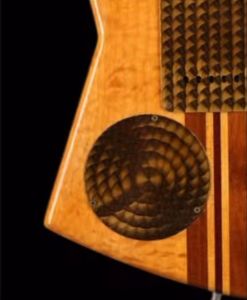 008-guitar-back-detail