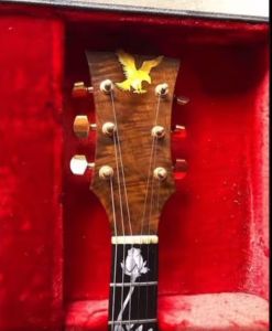 008-guitar-head-in-case