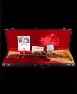 008-guitar-in-case-1