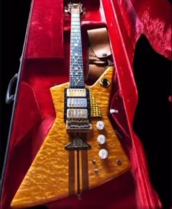 008-guitar-in-case