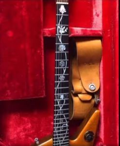 008-guitar-neck-in-case