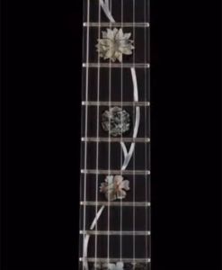 008-guitar-neck-middle