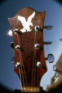 lacewood-head