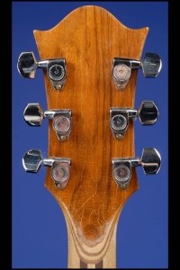 Dollar Sign Guitar - Head Back