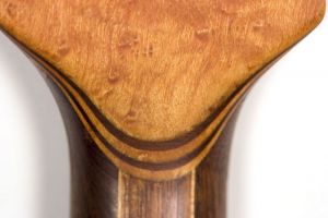 Eagle - The Guitar - Irwin Guitars #001 Neck Back