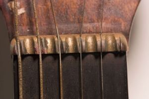 Eagle - The Guitar - Irwin Guitars #001 Nut