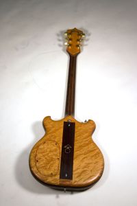 Eagle - The Guitar - Irwin Guitars #001 Back