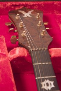 Eagle - The Guitar - Irwin Guitars #001 Head Stock
