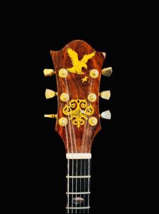 Irwin-Guitars-005-head