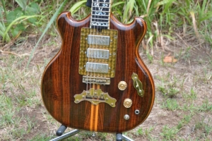 Rosewood Special - Body